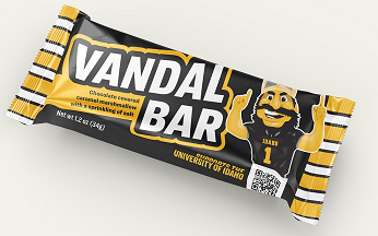 Vandal Bar